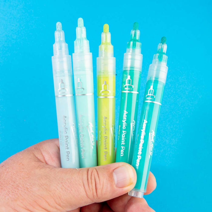 Acrylic Paint Pens in Case Broad Tip Signature 48pc