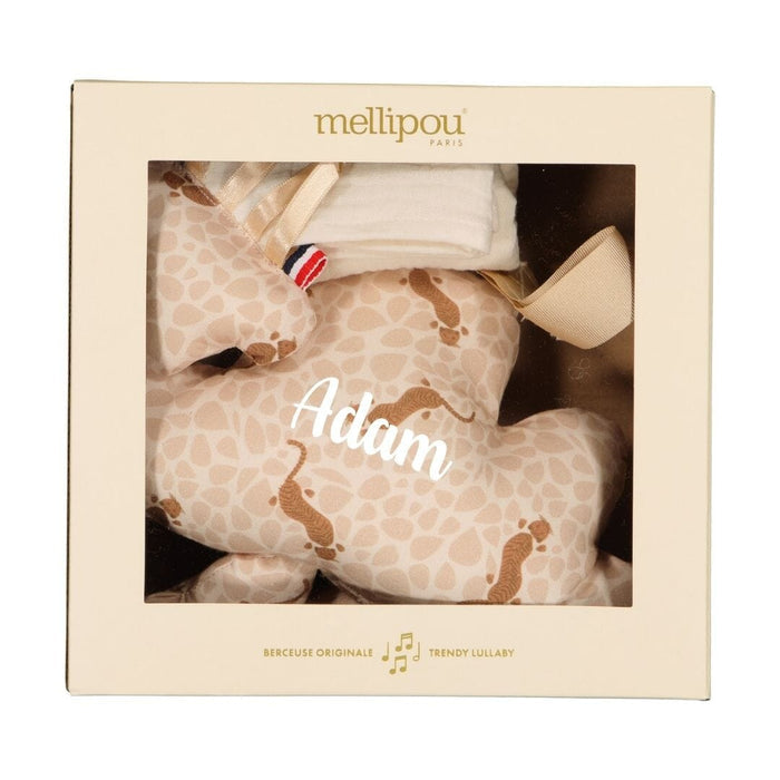 Coffret naissance personnalisable pour bébé - Elvis coffret naissance classique MELLIPOU