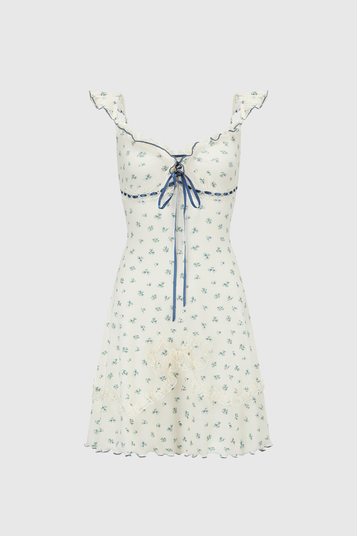 Desiderio Floral Mini Dress