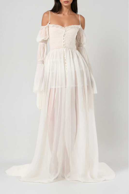 Diethard Long Sleeve Ruch Mesh Maxi Dress