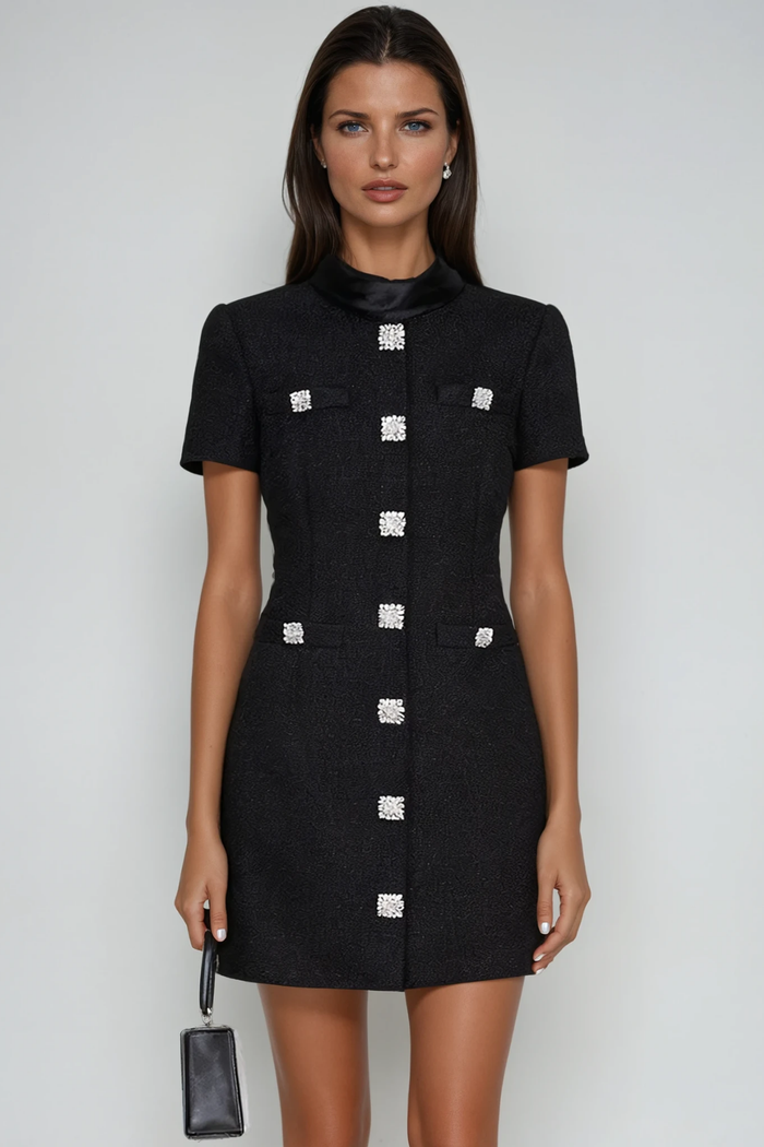 Dimitra Crystal Mini Dress