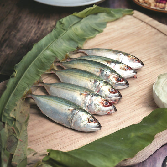 Fish Mackerel Fish
