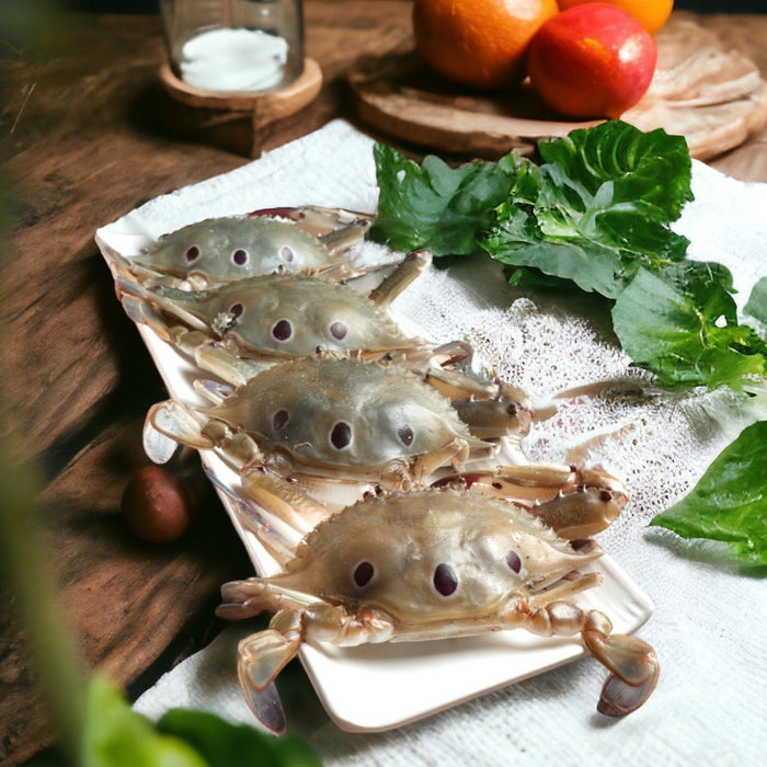 Fresh Sea Crab