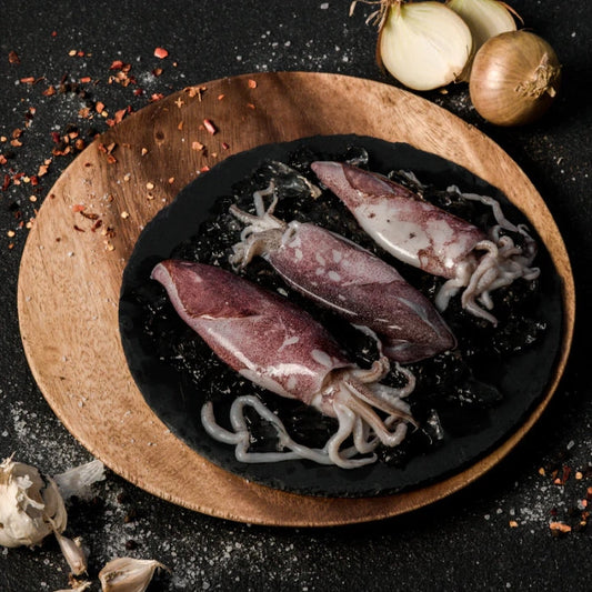 fresh squids
