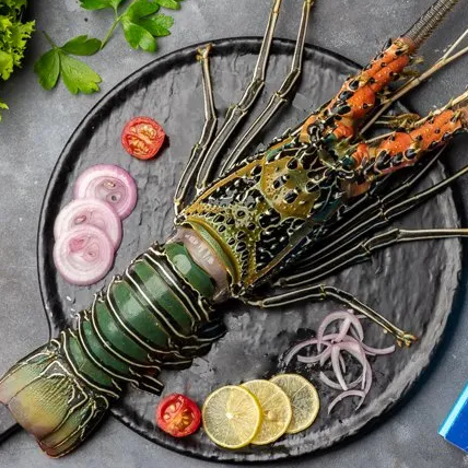 Fresh Premium Lobster