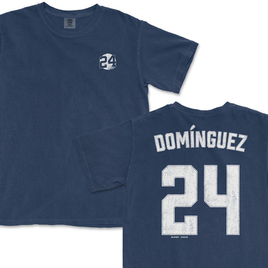 Jasson Domínguez Shirsey