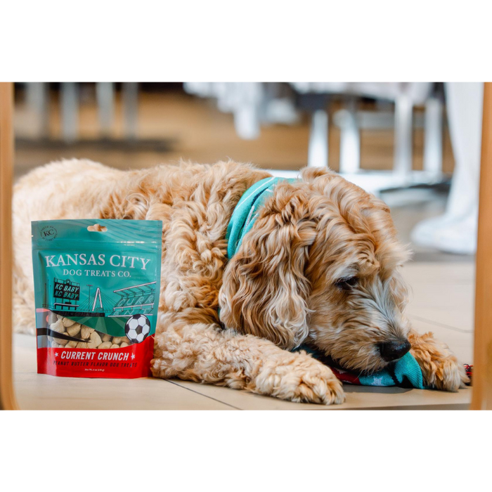 KC Dog Treats x Current Crunch