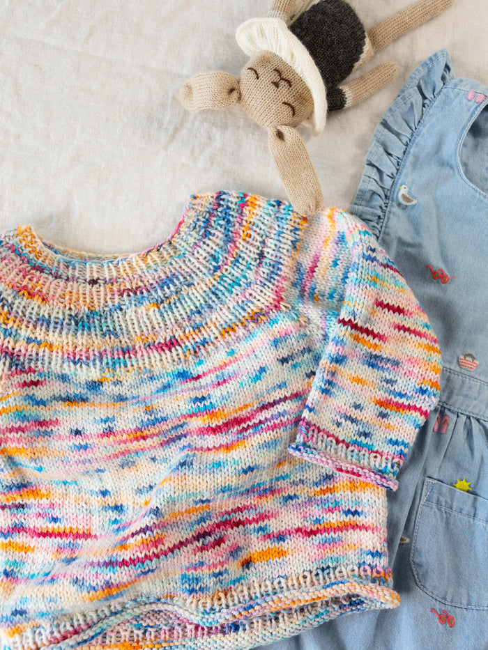 Little Anker's Sweater (Limited Edition)