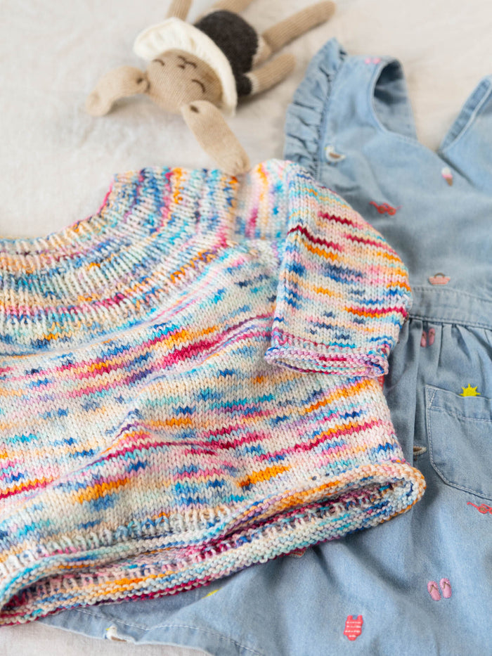 Little Anker's Sweater (Limited Edition)