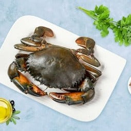 Big king Size  Crab