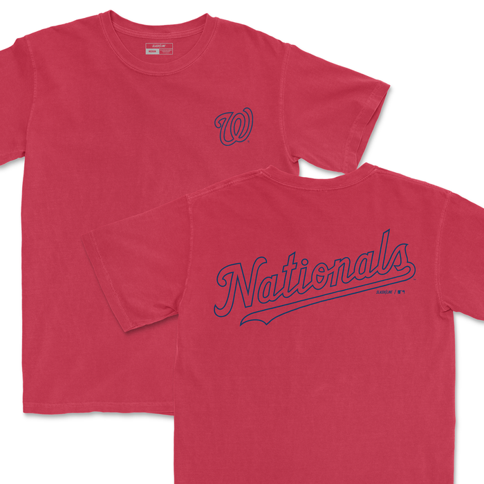 Washington Nationals - MLB Outline