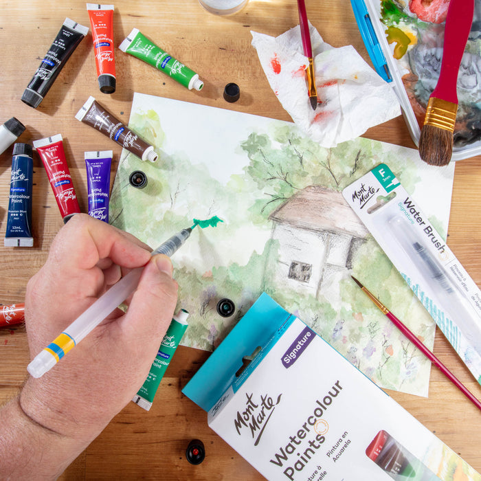 Watercolour Paint Set Signature 12pc x 12ml
