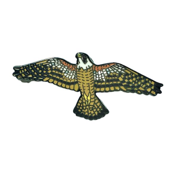 Wildlife Pin - Peregrine Falcon
